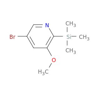 AE48304