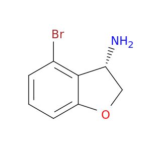 AE65585