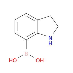 AE47913