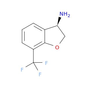 AE65556