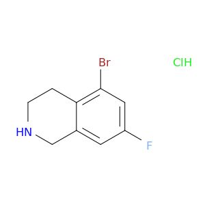 BL21251
