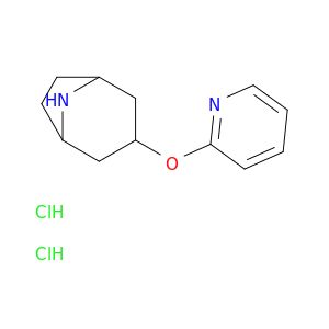 AY07801
