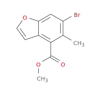 AY07469