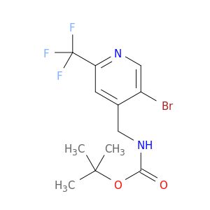 BR05787