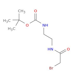 AY81571