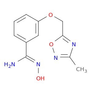 AY07516