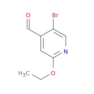 AA55856