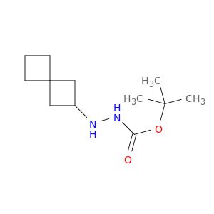 BM01509