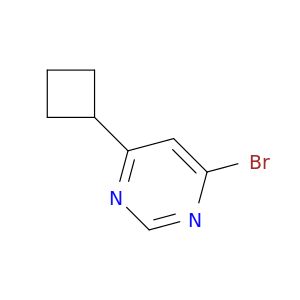 AY08558