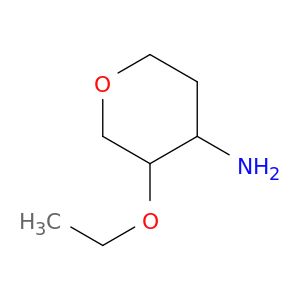 AE23556