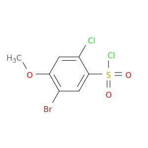 BL50336