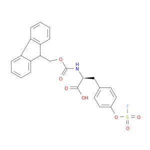 BL36532