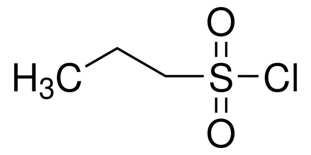 303771
