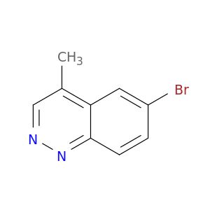 BM24719
