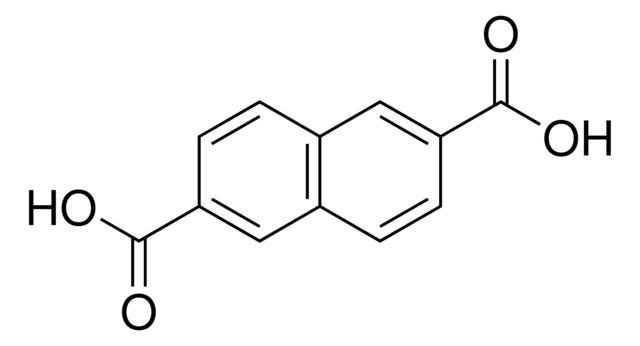 95934