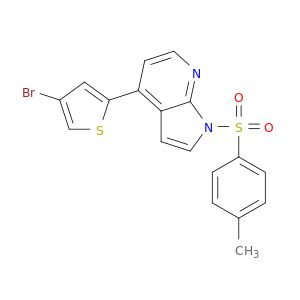 AY09021