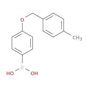 AY06447