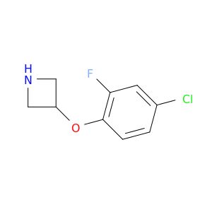 BM02532