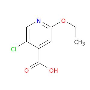 AX04036