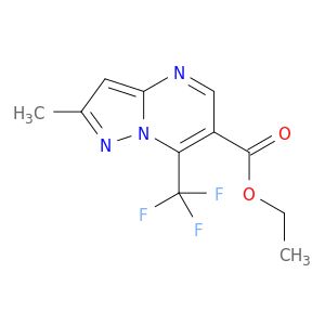 AJ06906