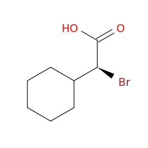 BL31981