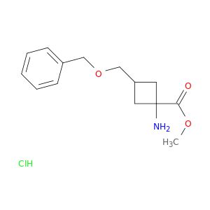 AY05011
