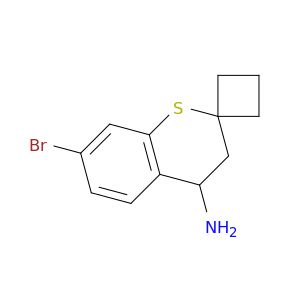 BM13388