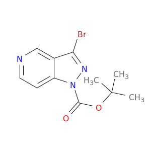 BA24921