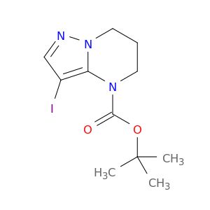 BM02393