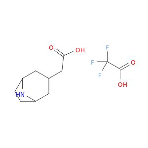 AY01279