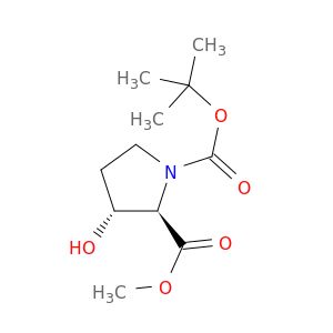BA05560