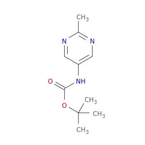 AE45535