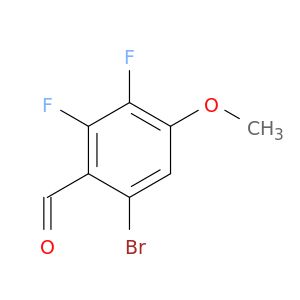 BL55610
