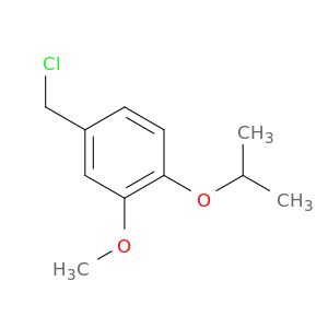 AE27393