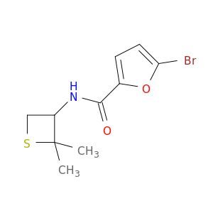 BM56928