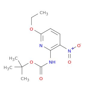 AE45557