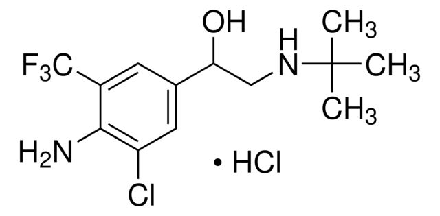 32573