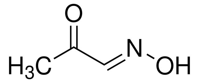 260568