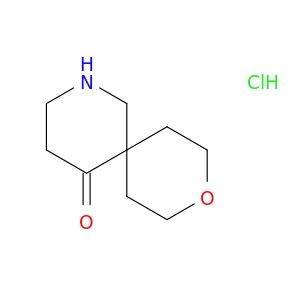 AY04319