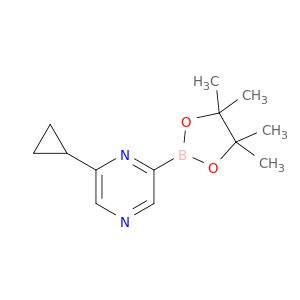 AY21197