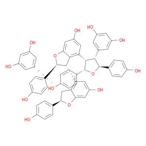 AE66866