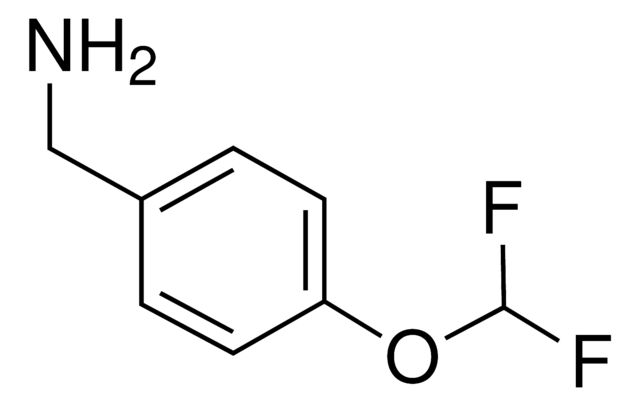 CDS010568