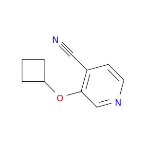 AY07834