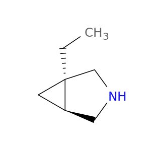AX55591