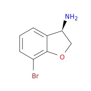 AE65557