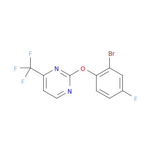 BF83365