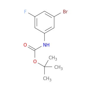 BM16675
