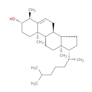AW55324