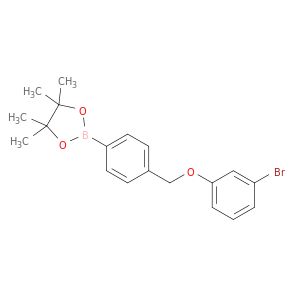 AY06455