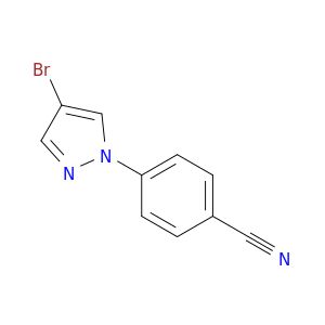 AE25954